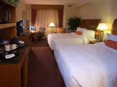 Hilton Garden Dfw Airport South Hotel Irving