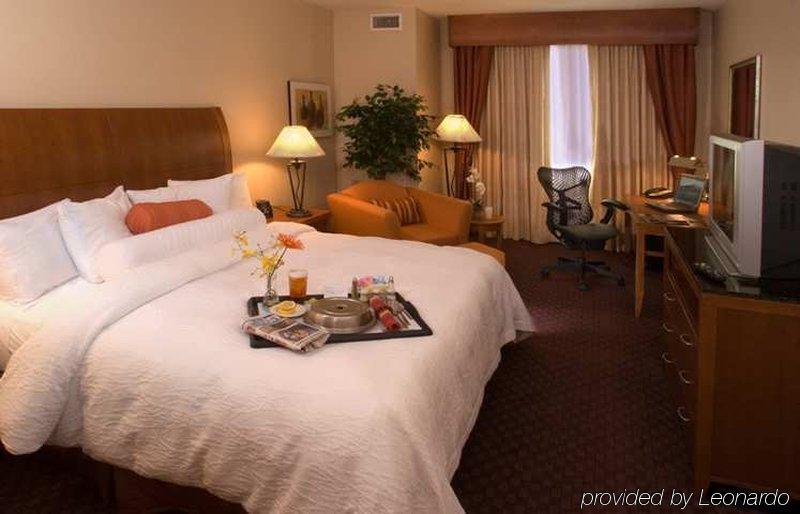 Hilton Garden Dfw Airport South Hotel