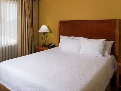 Hilton Garden Dfw Airport South Hotel 3*