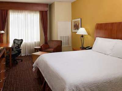 Hilton Garden Dfw Airport South Hotel